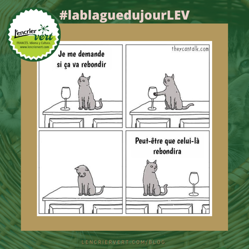 Los mejores memes en francés: humor para todos (1)