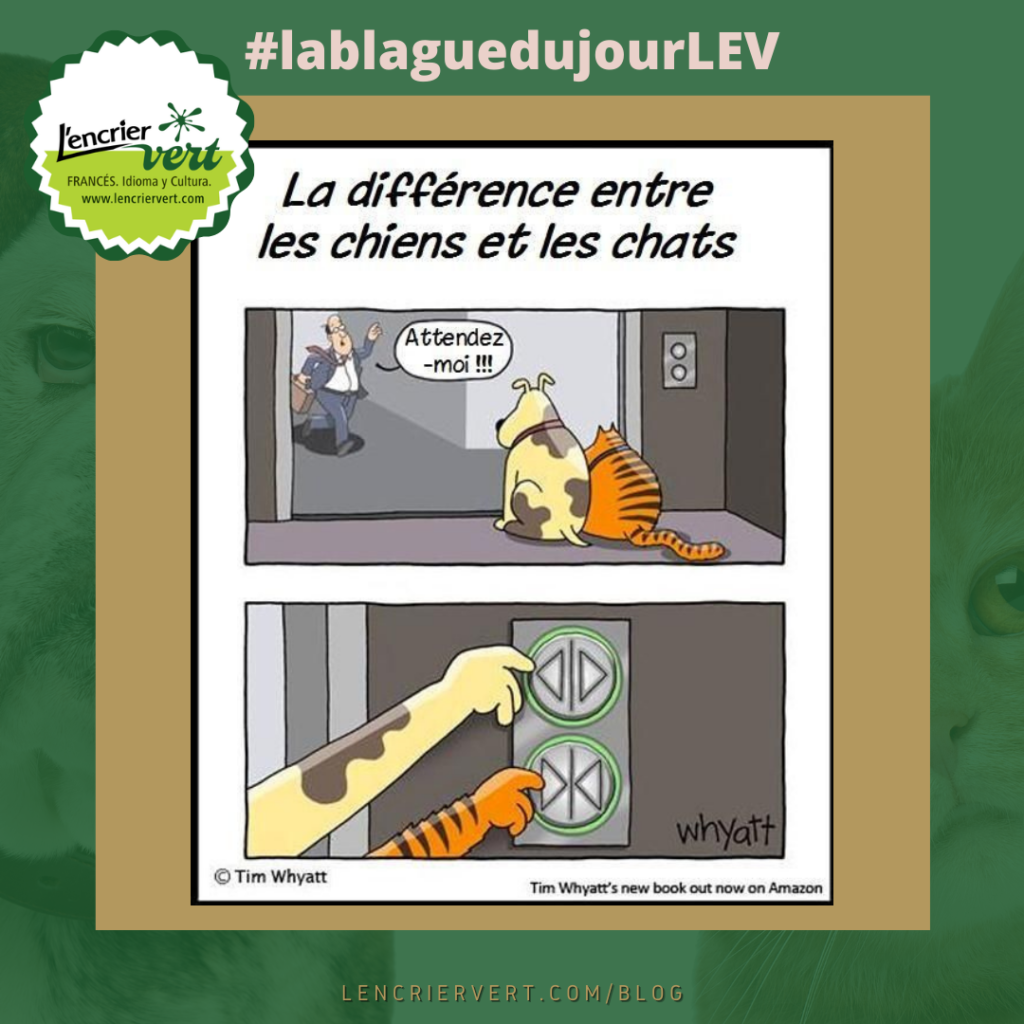 Los mejores memes en francés: humor para todos (2)