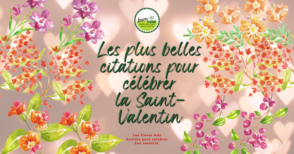 Frases en francés para celebrar el amor en San Valentín