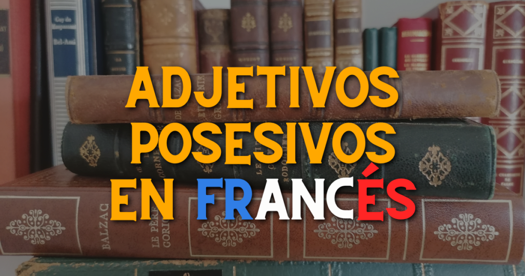 Adjetivos posesivos en francés: Les adjectifs possessifs 