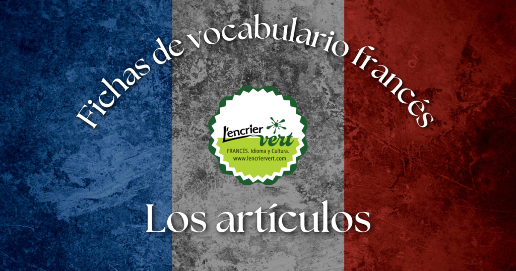 Fichas de vocabulario francés: Los artículos 