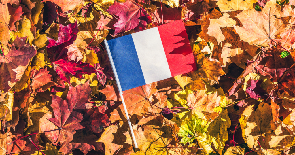 Vocabulaire d’automne: palabras y expresiones francesas para el otoño