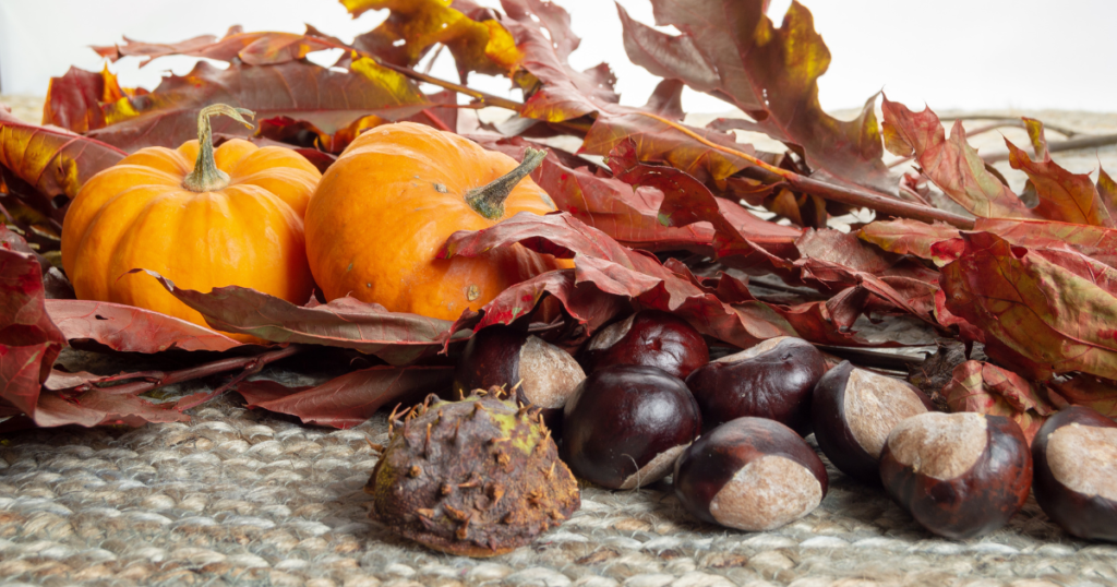 Vocabulaire d’automne: palabras y expresiones francesas para el otoño