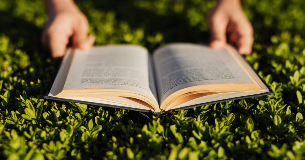 Palabras francesas para disfrutar